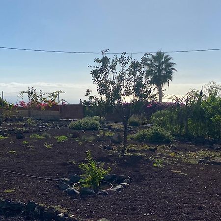 Finca Arcoiris Tenerife Vv Guia de Isora  Exterior photo