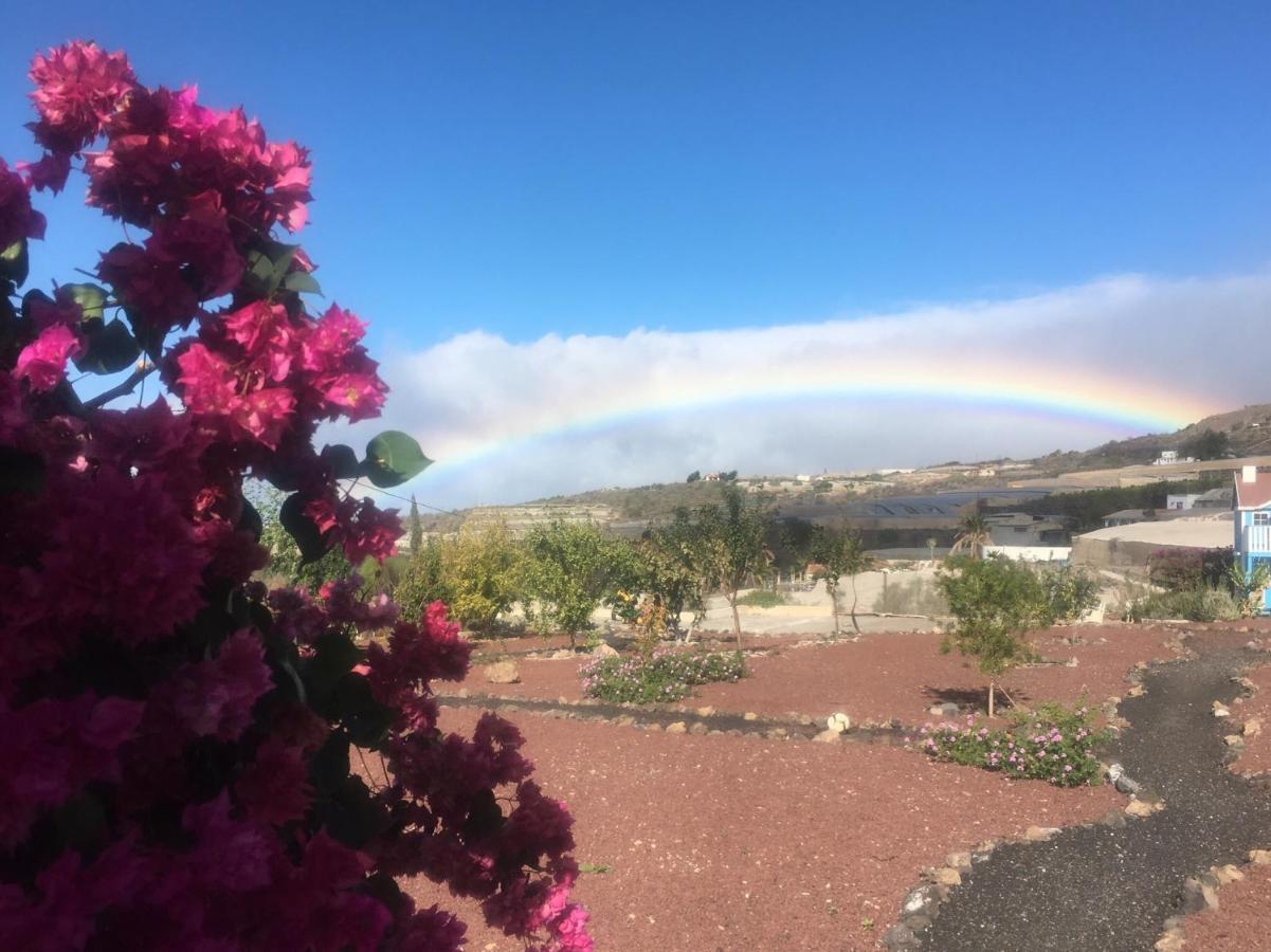 Finca Arcoiris Tenerife Vv Guia de Isora  Exterior photo